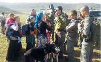Near Shilo: Arabs Injure 11 Jews, Damage Vineyards