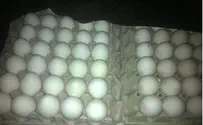 משרד החקלאות: זהירות מביצים של "יוסי ביצים"