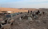 Bedouin Squatters to Get Land, Cash As Settlement Law Approved