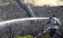 שריפת יער בגבעת התחמושת בירושלים