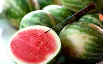 Israeli Farmers Say PA Boycotting Israeli-Grown Watermelons