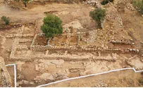 Did Archaeologists Find King David's 'Suburban Palace?'