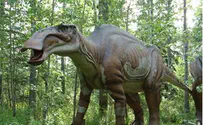 הדינוזאורים הכי גדולים הגיעו לישראל 