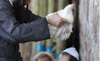 MK Lipman: Chicken Kaparot a 'Pagan' Ritual
