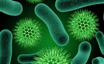 החיידקים נרדמים ו'ניצלים' מאנטיביוטיקה