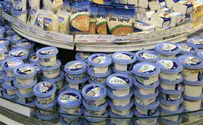 מחירי מוצרי החלב צפויים לרדת