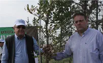 First Tree Planted in Ariel Sharon's Memory in the Golan Heights