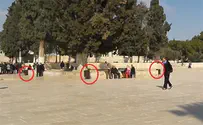 Muslim Authorities Filling Temple Mount with Trash Cans