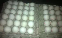 משרד הבריאות: קרטוני הביצים מסוכנים