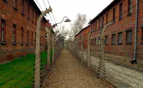 В Польше найдены страшные инструменты из Освенцима