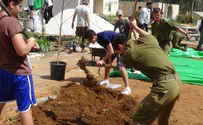 Israeli Youth Renovate IDF Unit's Base