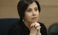 Meretz Head: IDF Operation is Only to Punish the PA