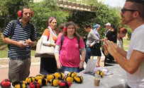 סטודנטים ללא הגבלה: יום נגישות בבר אילן