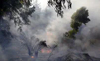 Suspected Arson 'Terror' Targets Samaria Village