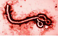 Эбола вновь вызвала панику в Израиле