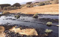 Eilat Oil Spill 'Not Foul Play'
