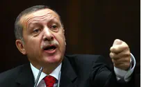 White House on Erdogan's Statements: Offensive and Wrong