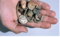 Spelunkers Stumble Upon Rare 2,300-Year-Old Treasure Cache