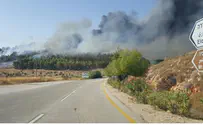 Крупный пожар в Элон-Морэ: фото
