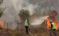 Пожар под Иерусалимом: подозрение на поджог. Видео