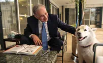 Netanyahu's dog bites two at Likud candle lighting 