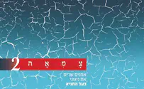 התוועדות ישראלית-ביקורת דיסק