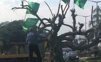 Рош ха-Аин: Беннет снял с дерева флаги «Исламского движения»