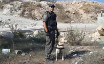 סוכל פיגוע נגד שוטרי משמר הגבול