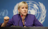 Sweden: Foreign Minister's remarks were 'misunderstood'
