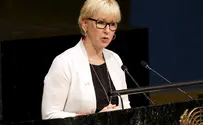 Швеция: заявления главы МИД были «неправильно поняты»