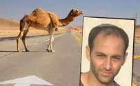 Discrimination? State to drop camel crash case