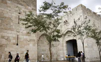 Арест в Иерусалиме: зачем эти люди шли на Храмовую гору?