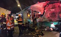 Around 39 wounded in horrific bus crash