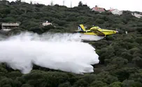 Planes sent to stop forest fire and grove blaze