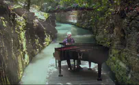 פסנתר וצ'לו בג'ונגל - צפו
