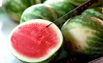 Hamas stops imports of Israeli watermelons to Gaza