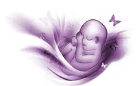 יומן הריון שנגמר בלידה שקטה