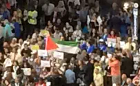 Palestinian flag waved at Democratic National Convention