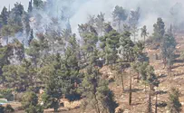 Welding of pipes sparks Jerusalem forest fire