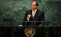 Sisi calls for effort to reach 'two-state solution'