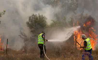 Видео об американском пожарном в Израиле 