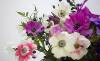 פרחים לחתונת גייז: ביהמ"ש ישקול מחדש