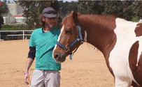 Israeli veterans use horses to combat PTSD