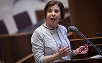 Meretz to hold open party primaries for the first time ever
