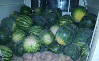 Bedouin man steals dozens of watermelons from Jewish farmer