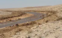 אסון אקולוגי במדבר יהודה