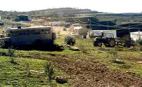 'This is destroying the future of Israeli agriculture'