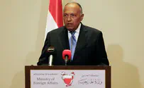 Egypt shows solidarity with Trump's Iran statements