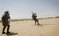 IDF grounds 'Sky Rider' drones