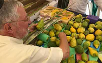 Watch: The Four Species market in Mahane Yehuda